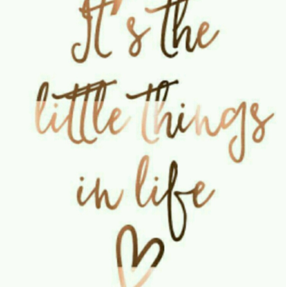 Meet your Posher, Fallan